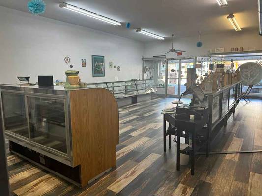 135 Wayne Street, Milledgeville, GA 31061 - Photo 3