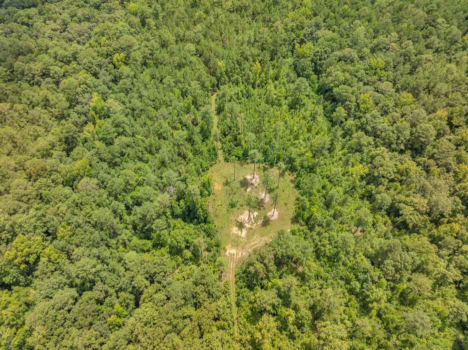 7633 Thomaston Road, Macon, GA 31220 - Photo 4