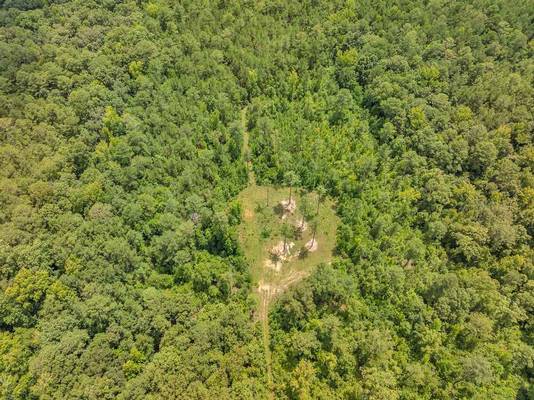 7633 Thomaston Road, Macon, GA 31220 - Photo 4