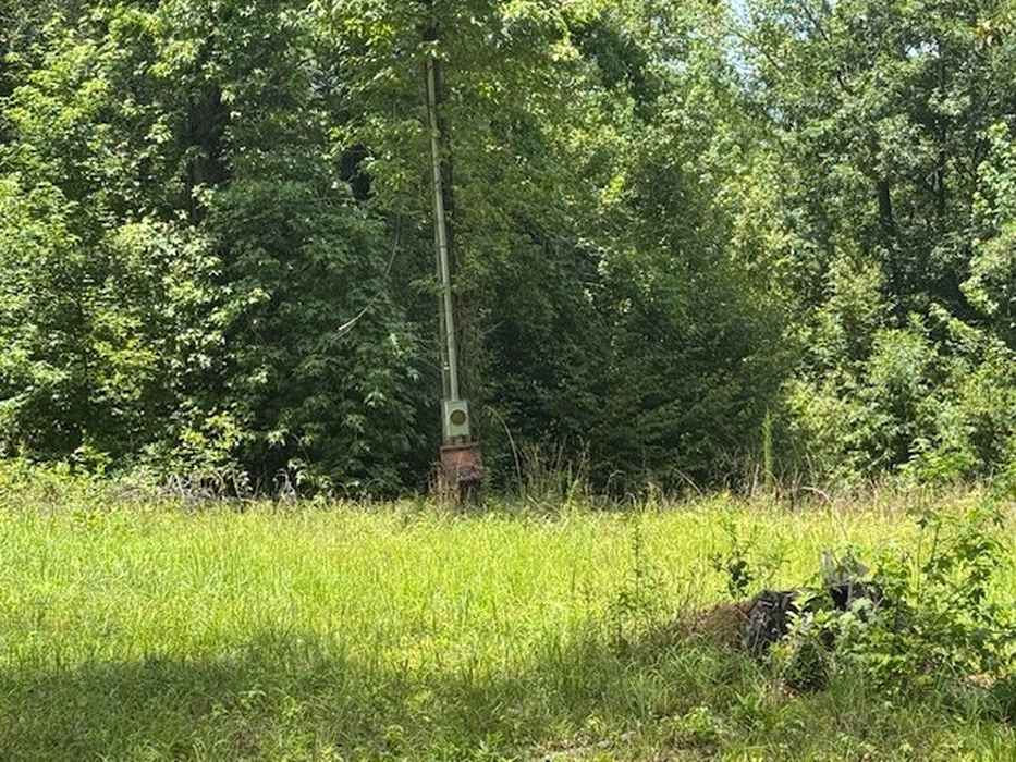 107 Forest Valley Drive, Milledgeville, GA 31061 - Photo 4