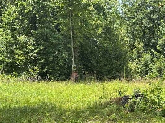 107 Forest Valley Drive, Milledgeville, GA 31061 - Photo 4