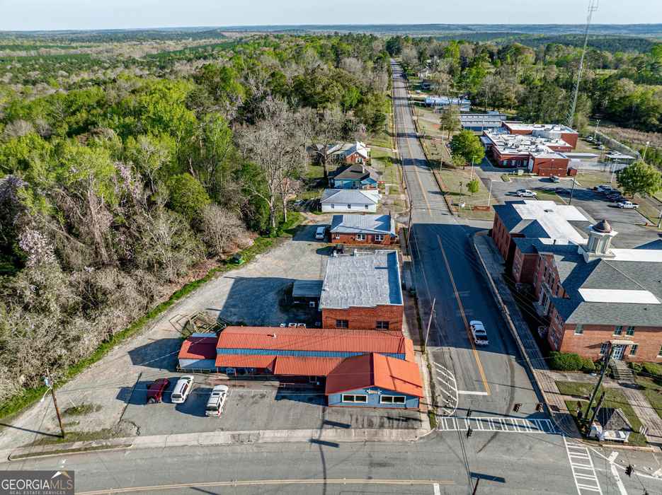 101 Main Street, Irwinton, GA 31042 - Photo 2