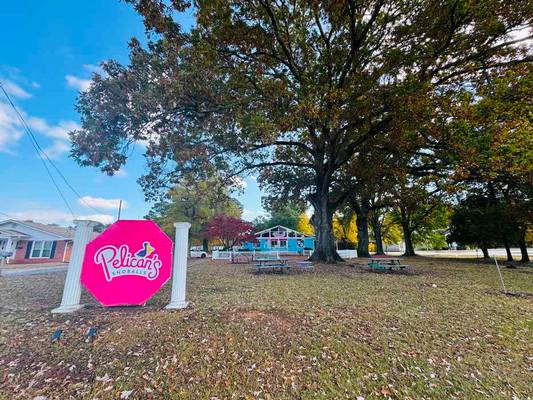 685 Jeff Davis Drive, Fayetteville, GA 30214 - Photo 6